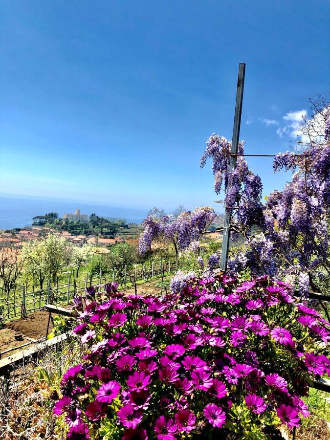 La Casa Dei Nonni Appartement Agerola Buitenkant foto