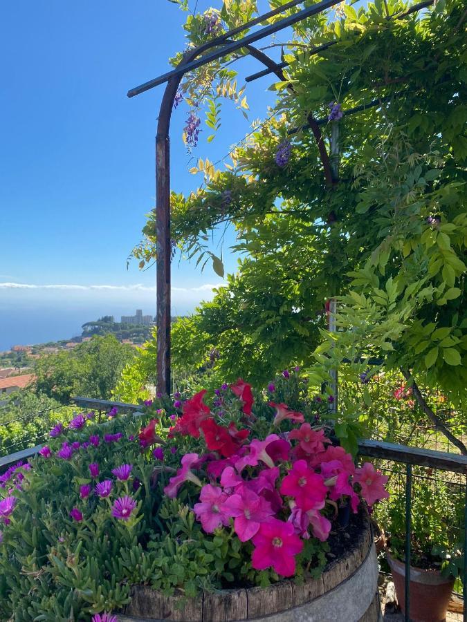 La Casa Dei Nonni Appartement Agerola Buitenkant foto